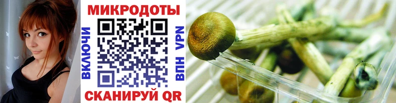 darknet формула  Бородино  Псилоцибиновые грибы мицелий 
